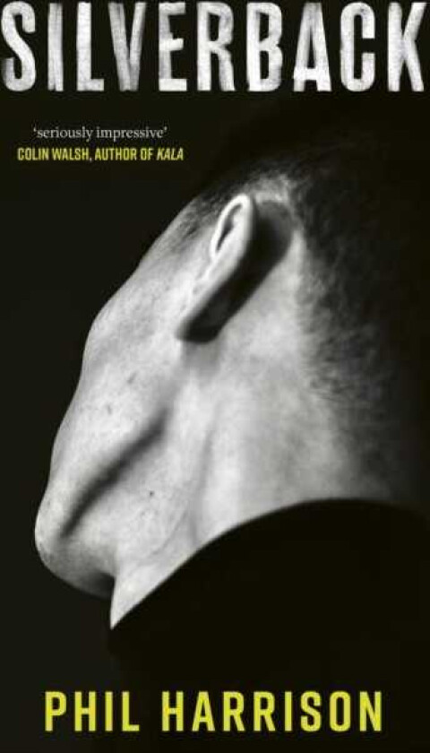 Silverback 'A dark unnerving tale' (John Boyne)