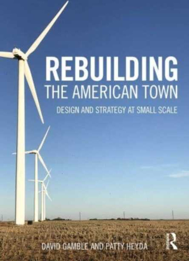 Rebuilding the American Town Design and Strategy at Small Scale