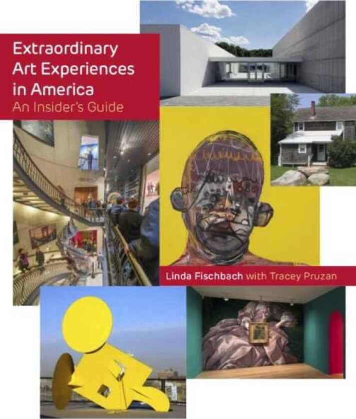 Extraordinary Art Experiences in America An Insider's Guide