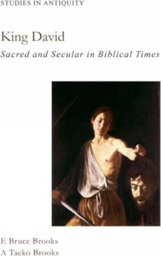 King David  Sacred and Secular in Bible Times