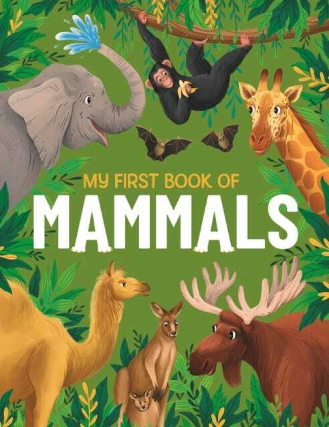 My First Book of Mammals An Illustrated First Look at Mammals from Around the World