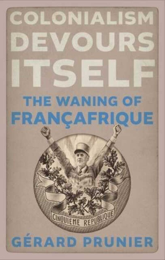 Colonialism Devours Itself The Waning of Francafrique