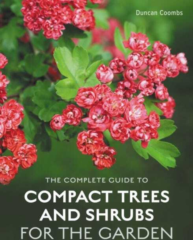 The Complete Guide to Compact Trees and Shrubs