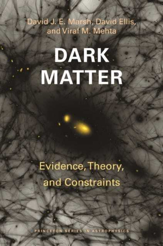 Dark Matter  Evidence, Theory, and Constraints