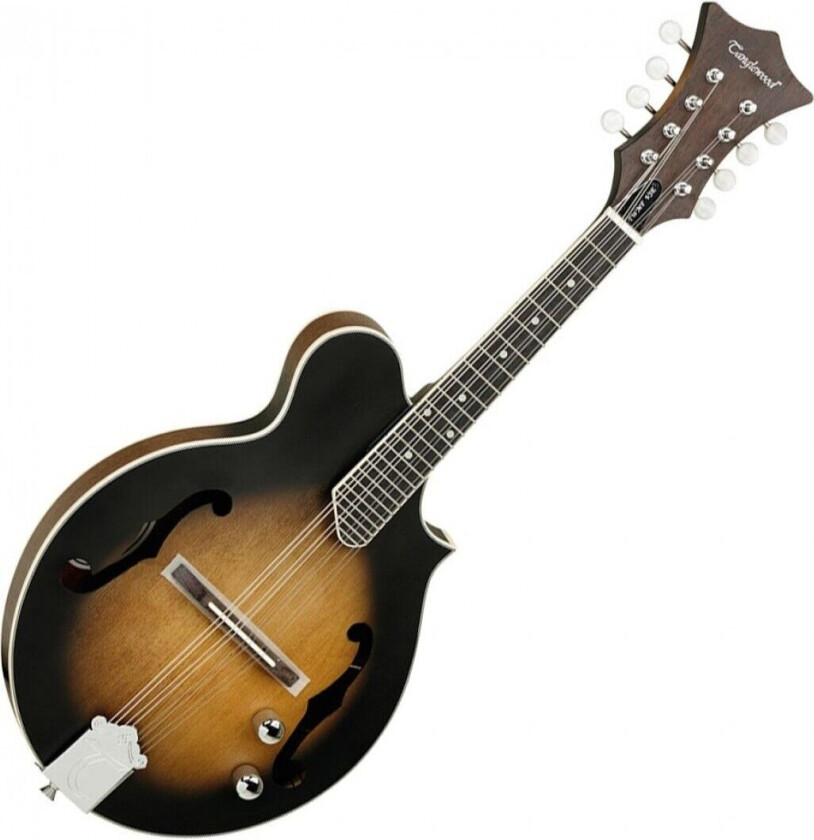 TWMF VSE Union Series Electric Mandolin Vintage Sunburst