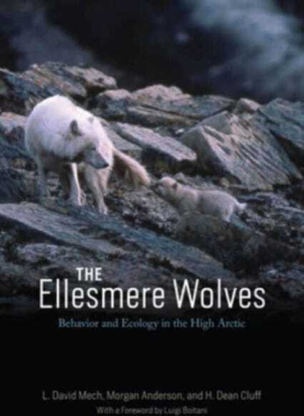 The Ellesmere Wolves Behavior and Ecology in the High Arctic