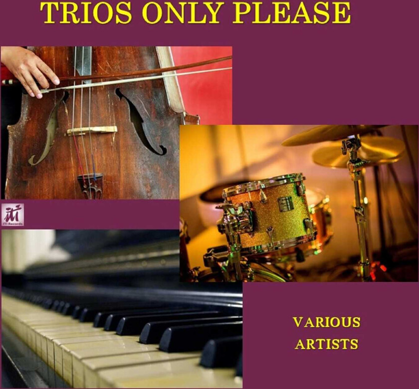 Diverse Jazz Trios Only Please CD