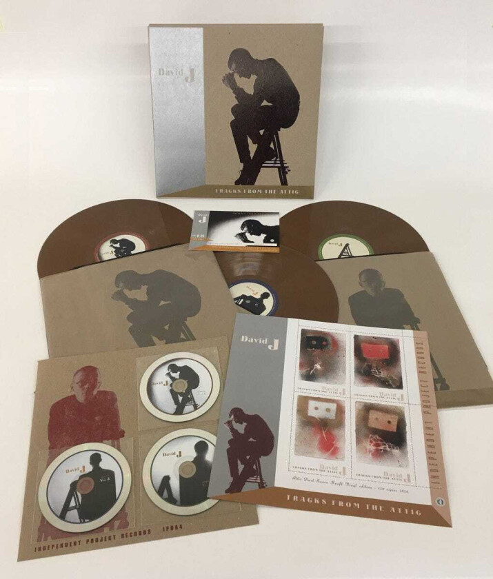 David J Tracks From The Attic LP/Vinyl