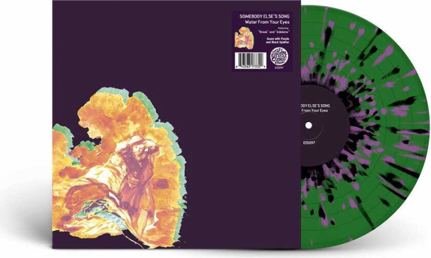 Water From Your Eyes Somebody Else's Song LP/Vinyl