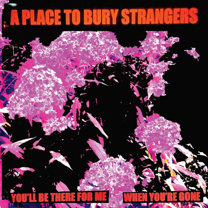A Place To Bury Strangers You'll Be There For Me / When You're Gone LP/Vinyl
