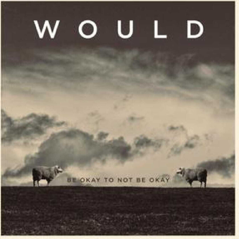 Would Be Okay To Not Be Okay LP/Vinyl