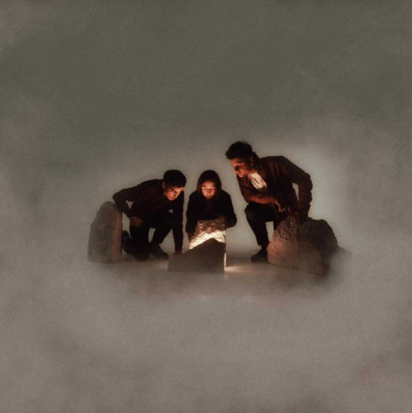 Blind Seagull Decade Of Effort LP/Vinyl