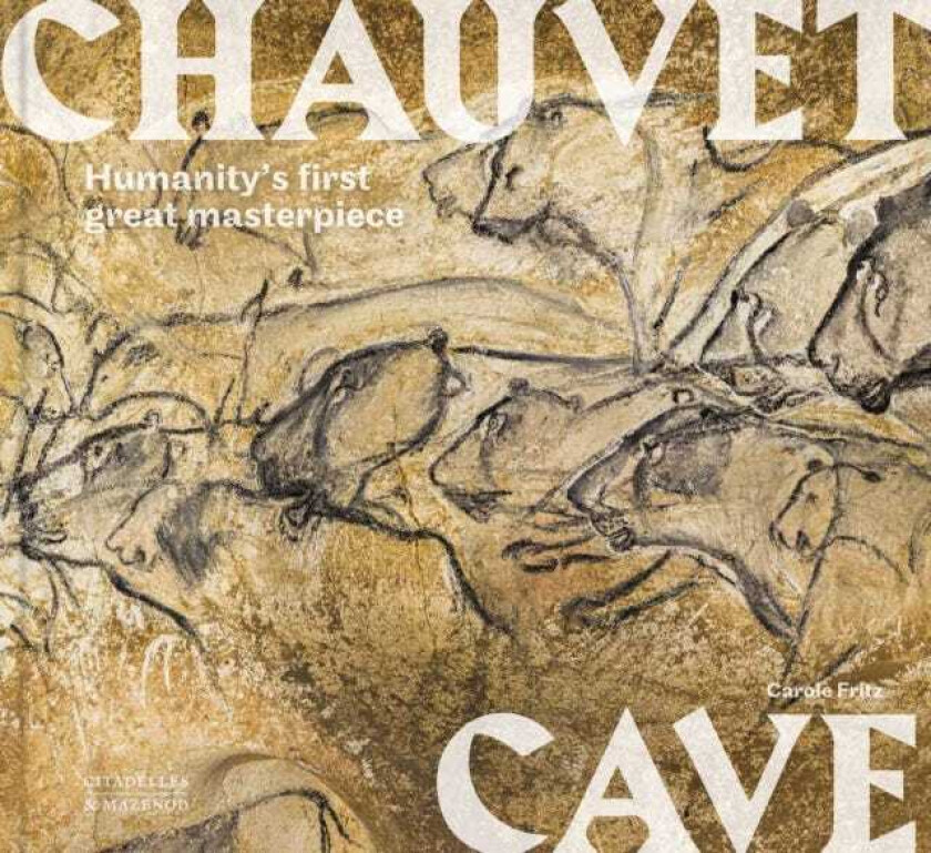 Chauvet Cave Humanity's First Great Masterpiece