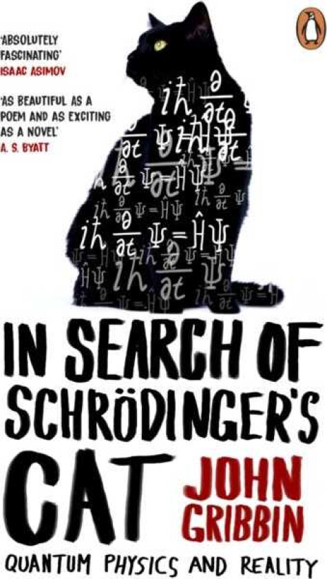 In Search Of Schrodinger's Cat Updated Edition