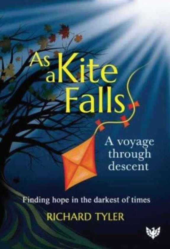 As a Kite Falls  A Voyage Through Descent