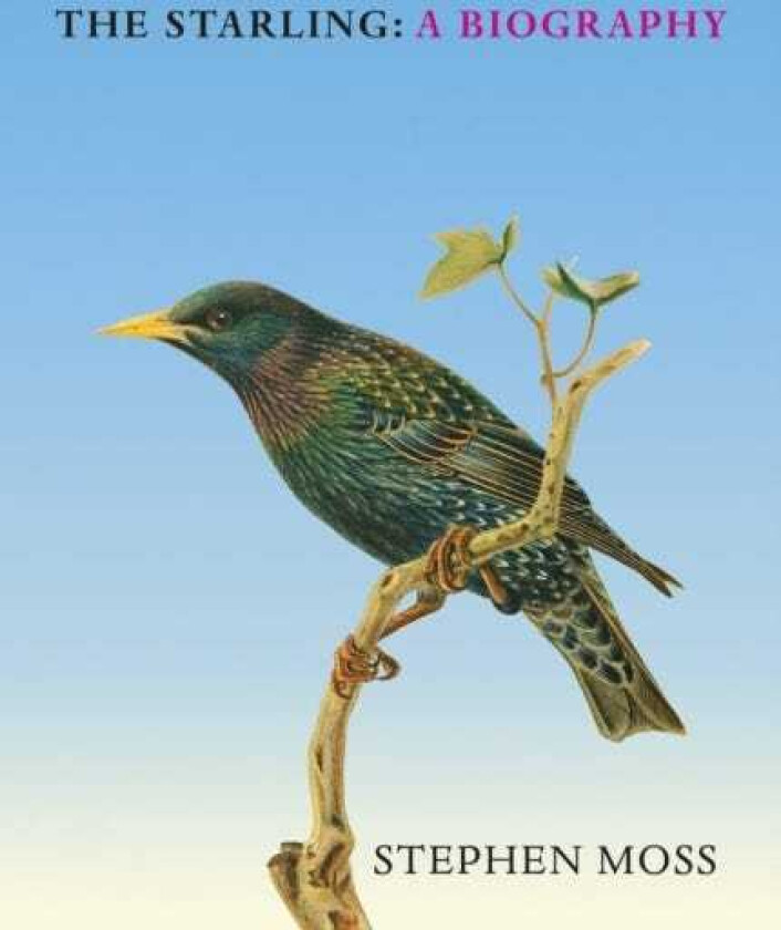 The Starling A Biography
