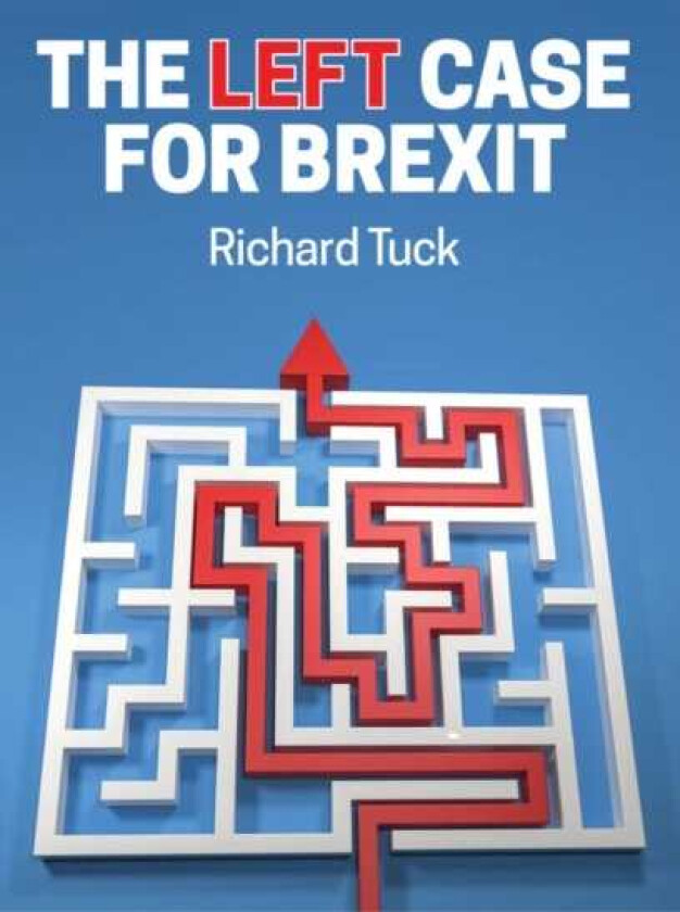 The Left Case for Brexit Reflections on the Current Crisis