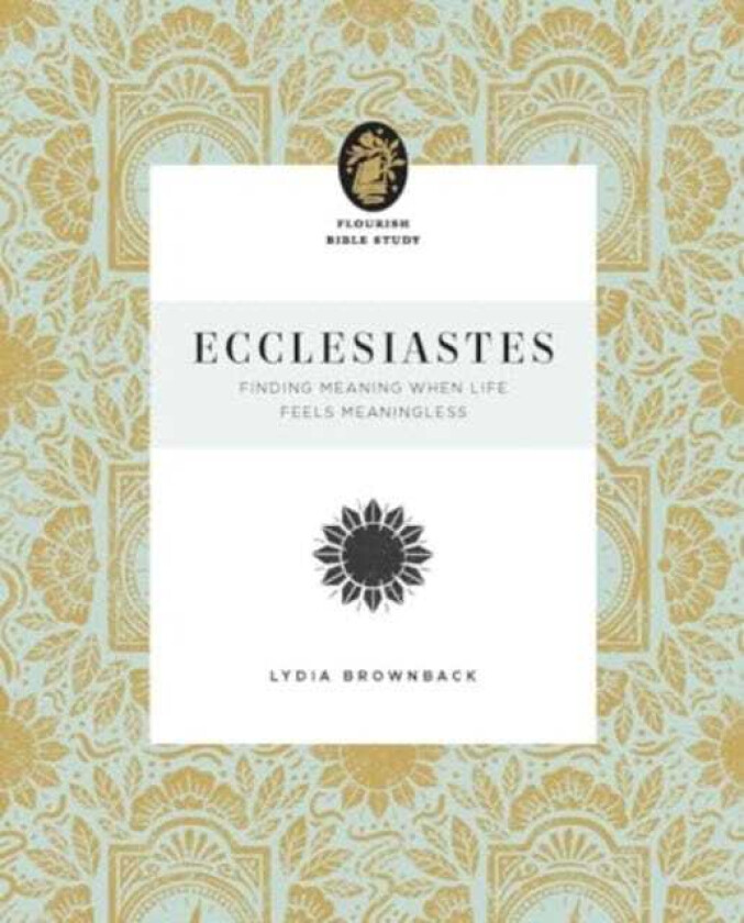 Ecclesiastes Finding Meaning When Life Feels Meaningless