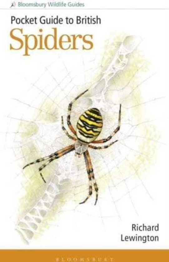 Pocket Guide to British Spiders