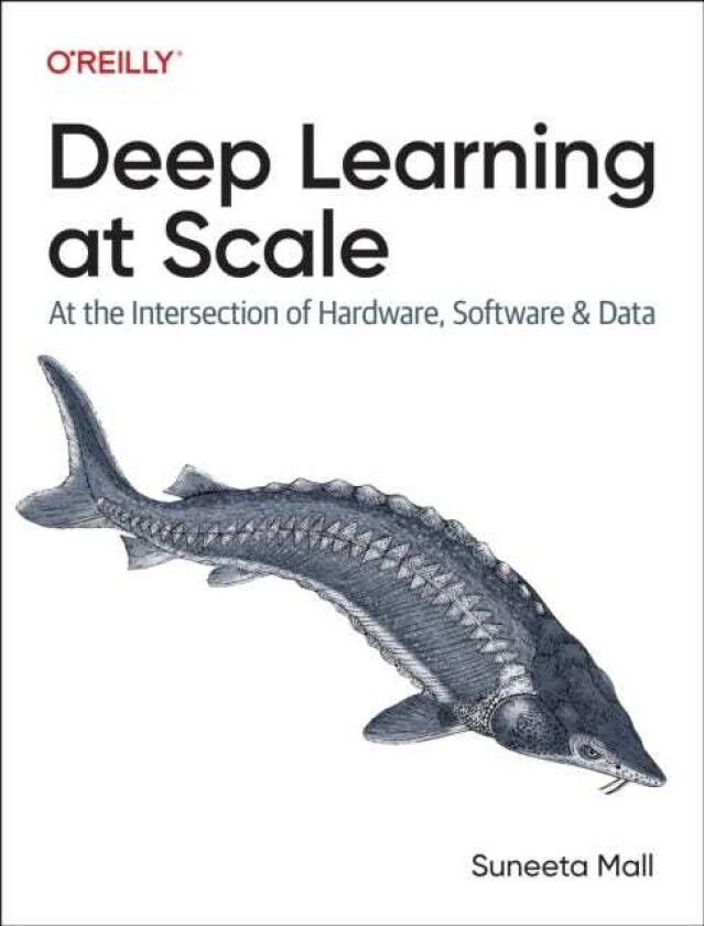Deep Learning at Scale At the Intersection of Hardware, Software, and Data