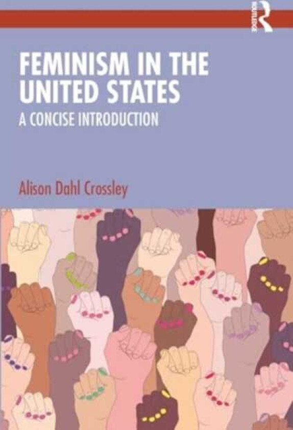 Feminism in the United States A Concise Introduction