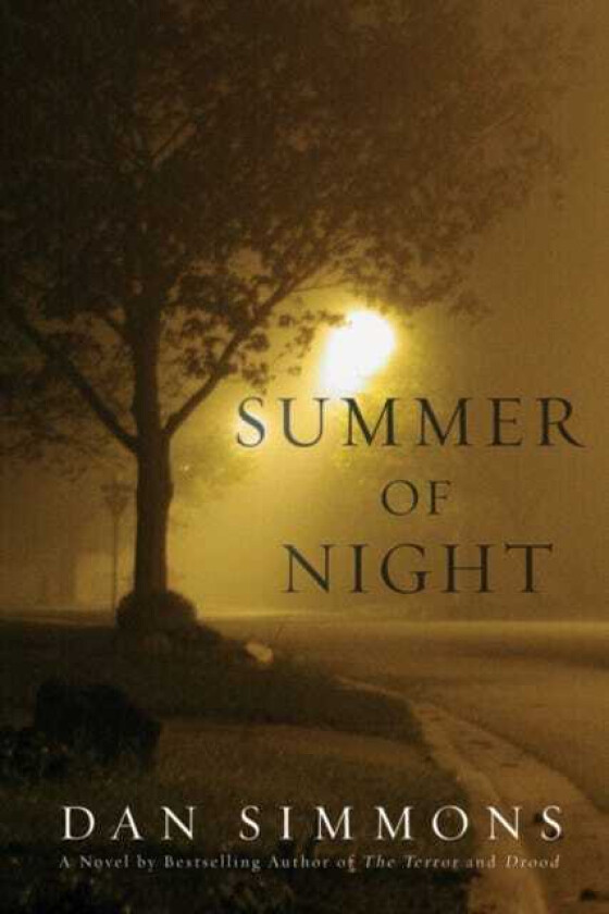 Summer of Night  A Novel