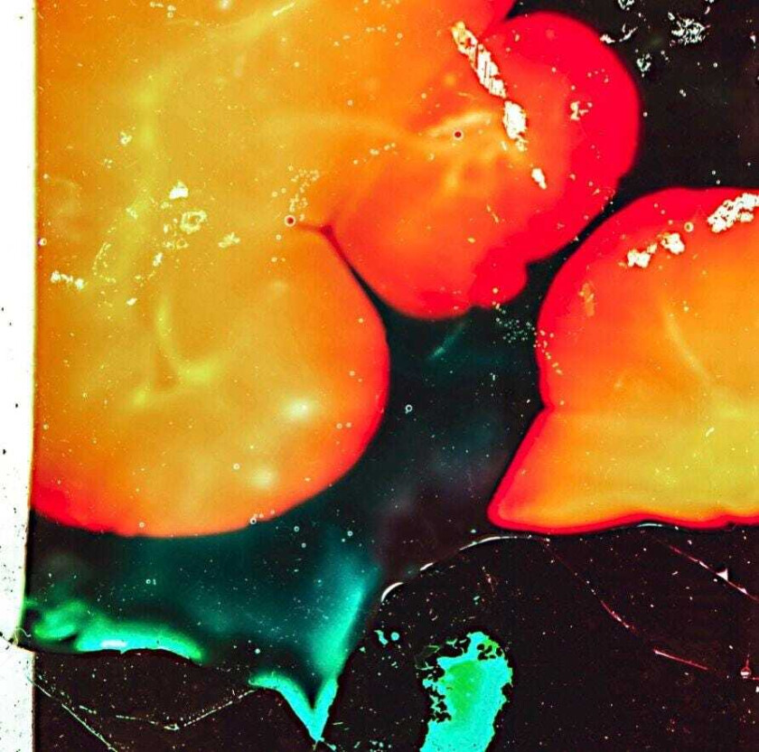 Amalie Dahl's Dafnie Står op med solen LP/Vinyl