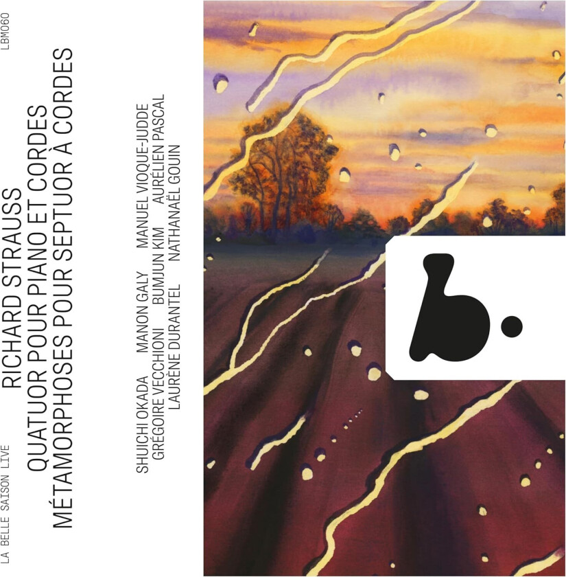 Trio Arnold, Nathanael Gouin Strauss: Quatuor pour piano et Cordes Metamorphoses pour septuor a cordes (Live) CD