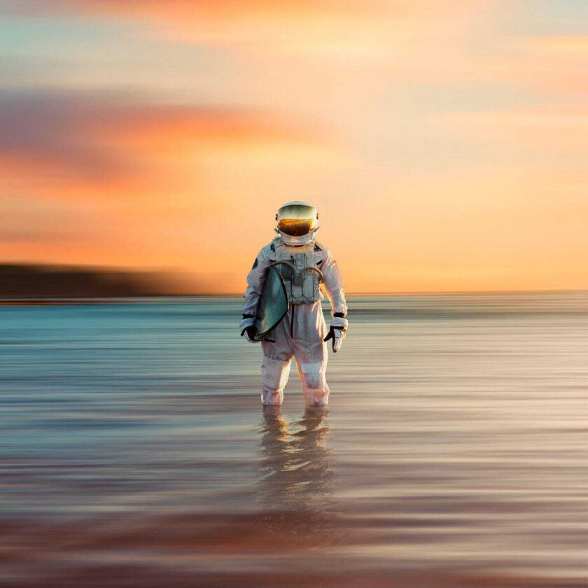 The Dangerous Summer Gravity CD