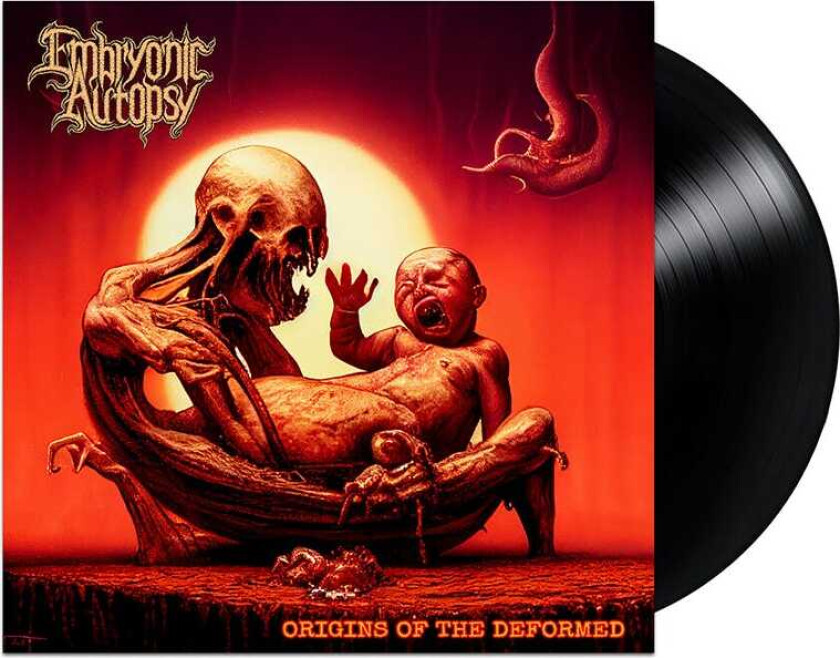 Embryonic Autopsy Origins of the Deformed LP/Vinyl