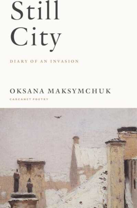Still City A Diary of an Invasion