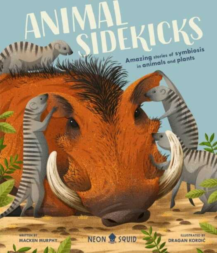 Animal Sidekicks Amazing Stories of Symbiosis in Animals and Plants
