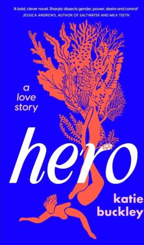 Hero  A fierce and captivating literary love story for 2025