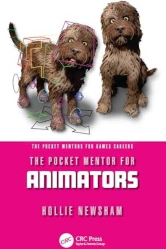 The Pocket Mentor for Animators