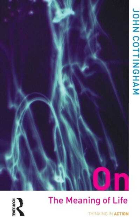 On the Meaning of Life