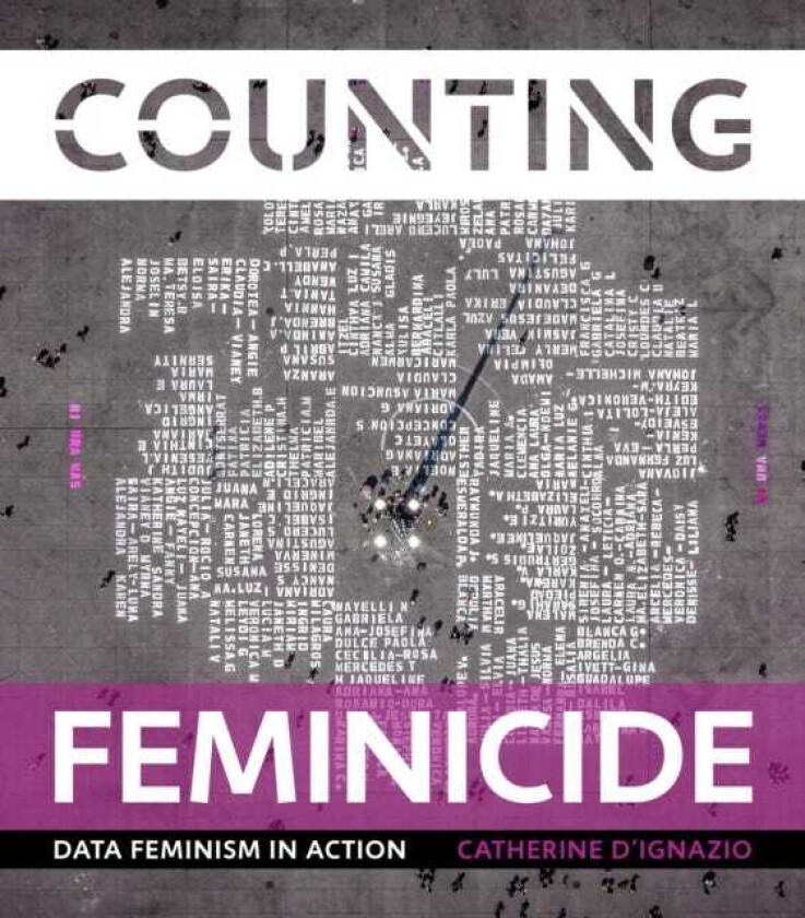 Counting Feminicide Data Feminism in Action
