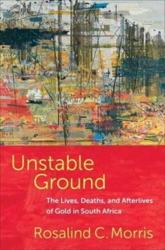 Unstable Ground The Lives, Deaths, and Afterlives of Gold in South Africa