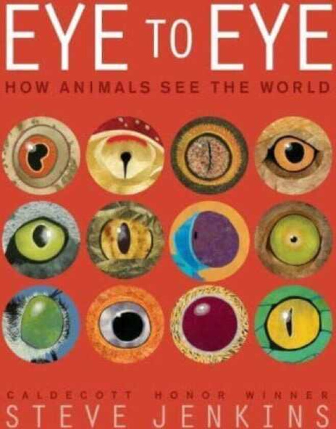 Eye to Eye/How Animals See the World How Animals See the World