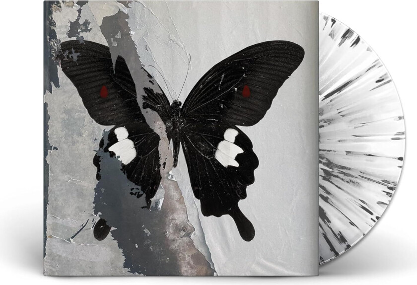 Death Cult, The Cult Paradise Now LP/Vinyl