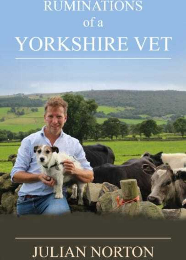 Ruminations Of A Yorkshire Vet
