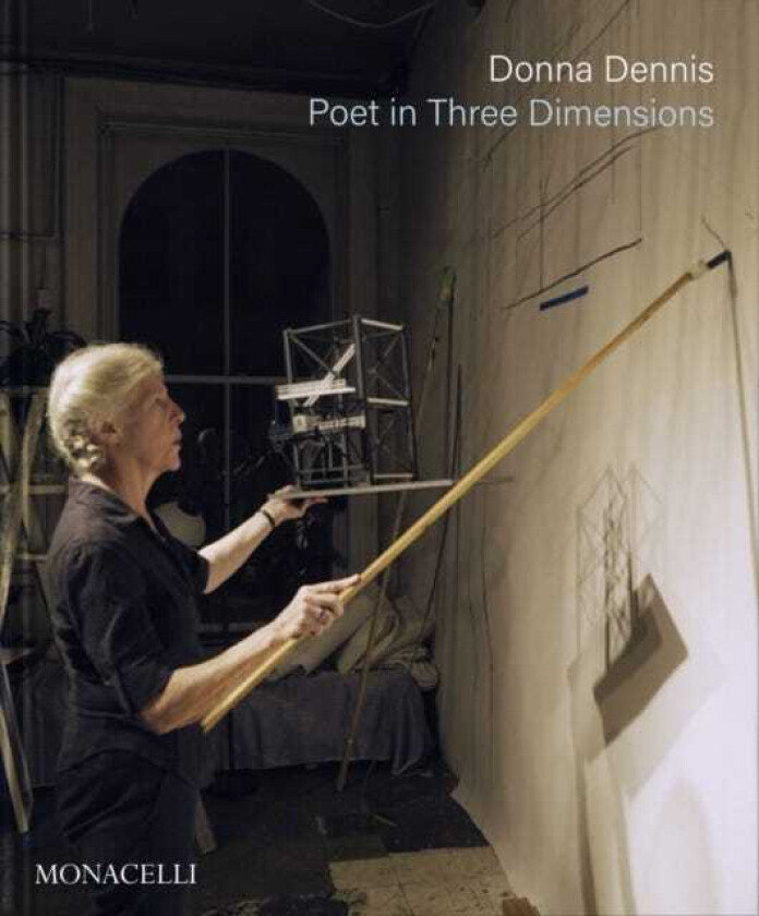 Donna Dennis  Poet in Three Dimensions