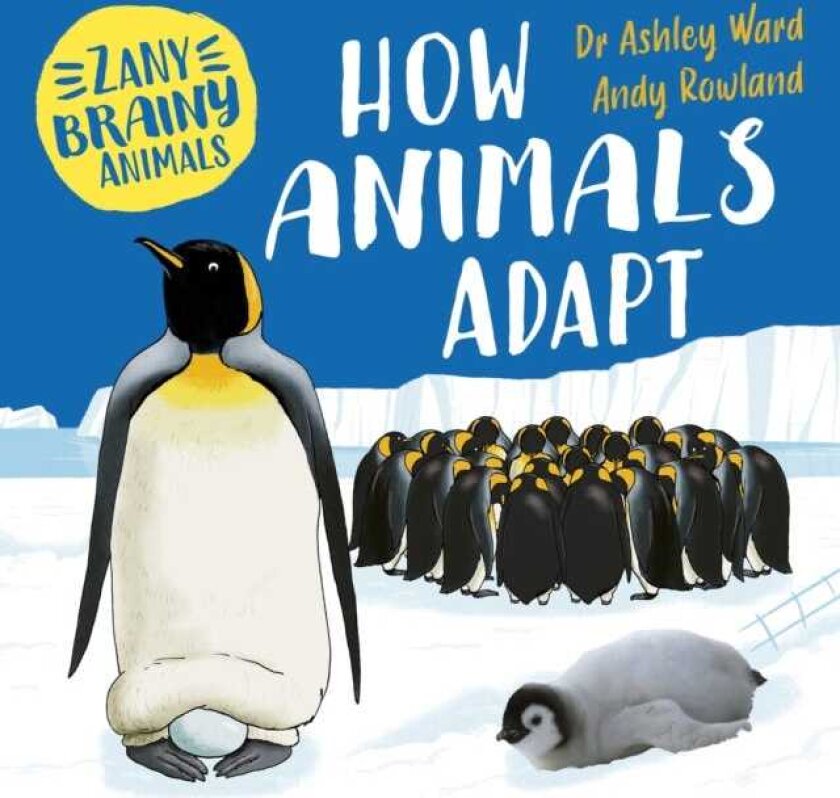 Zany Brainy Animals: How Animals Adapt