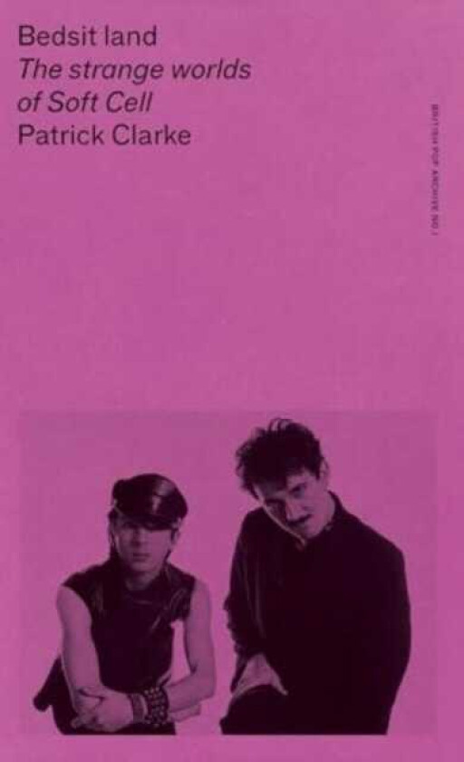Bedsit Land  The Strange Worlds of Soft Cell