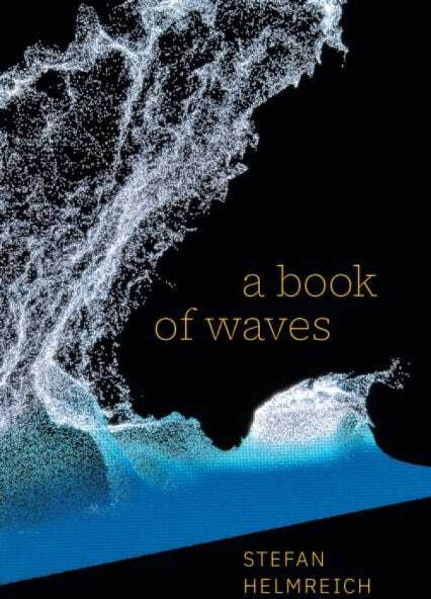 A Book of Waves