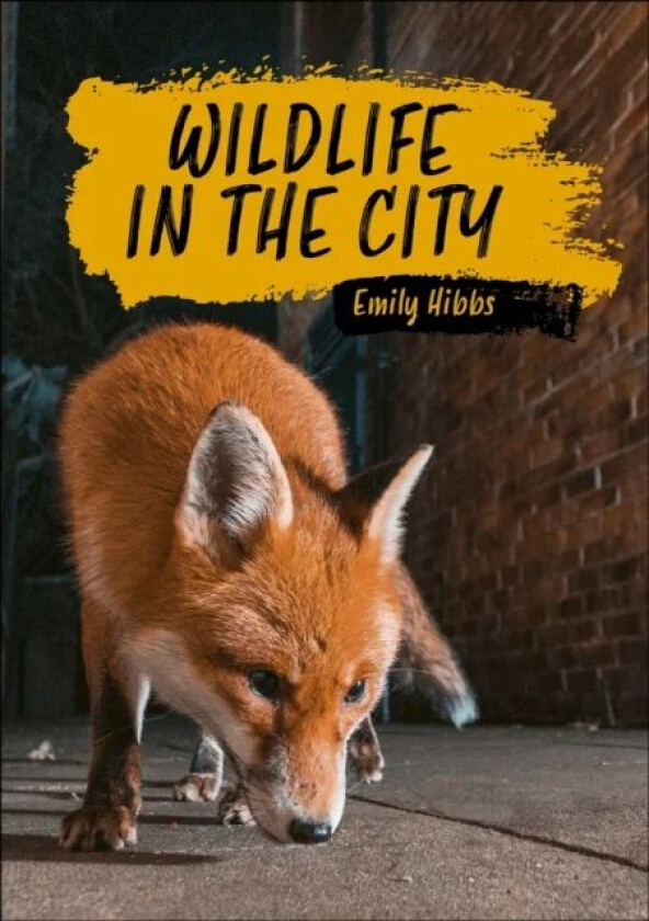Reading Planet KS2: Wildlife in the City - Earth/Grey av Emily Hibbs