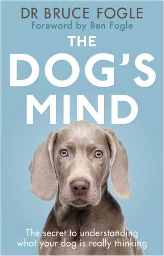 The Dog's Mind