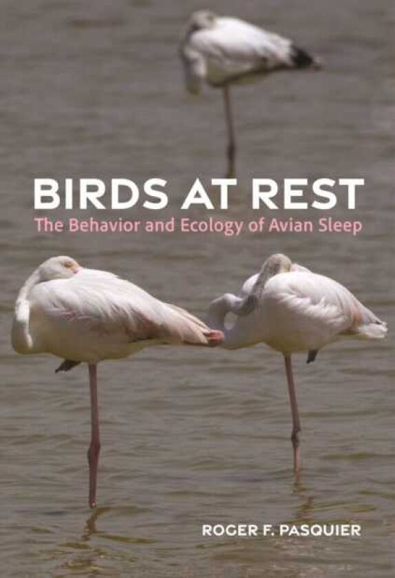 Birds at Rest The Behavior and Ecology of Avian Sleep