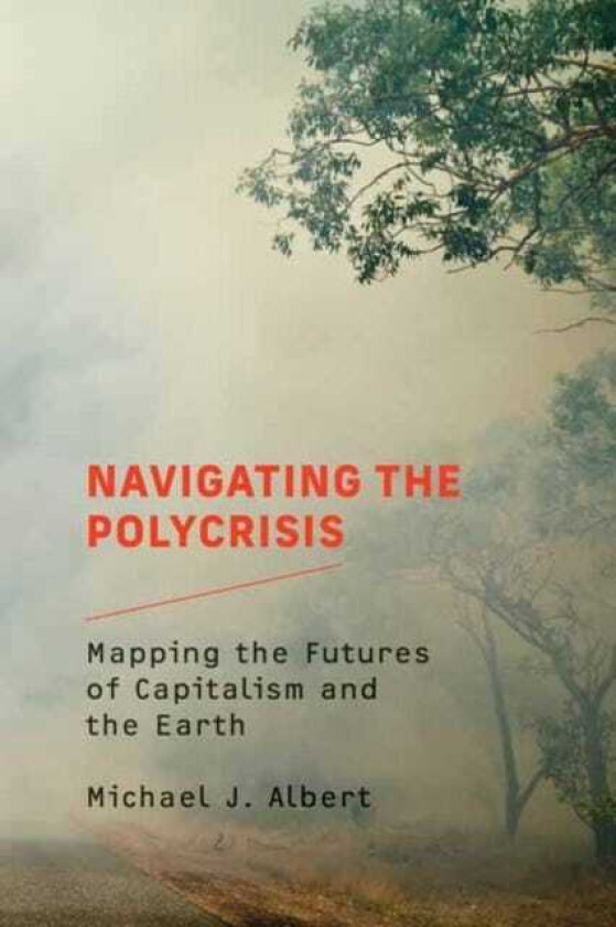 Navigating the Polycrisis Mapping the Futures of Capitalism and the Earth