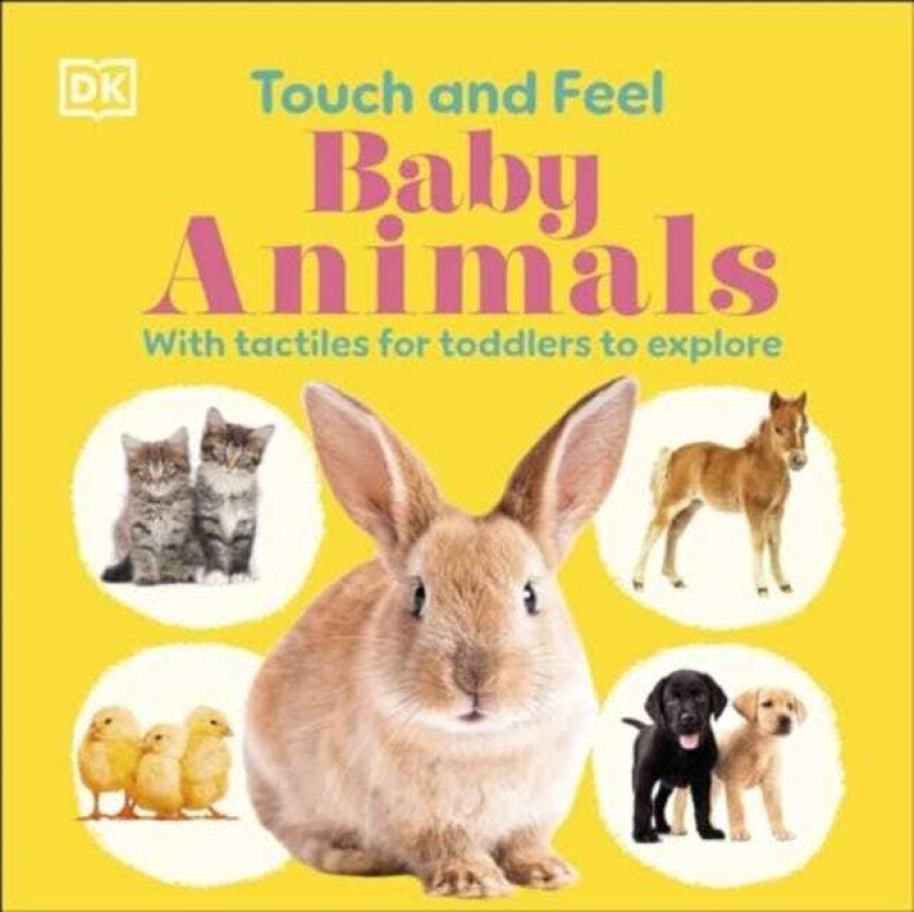 Touch and Feel Baby Animals With Tactiles for Toddlers to Explore