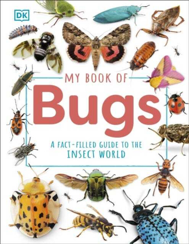 My Book of Bugs A FactFilled Guide to the Insect World